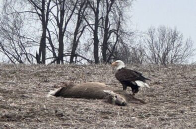 nicholas-metropoulos-hillsdale-county-img_1319.jpeg